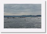 DSC03200_S * 5473 x 3648 * (4.71MB)