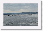 DSC03201_S * 5472 x 3648 * (4.47MB)