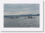 DSC03202_S * 5472 x 3648 * (4.39MB)