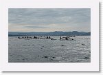DSC03203_S * 5472 x 3648 * (4.58MB)
