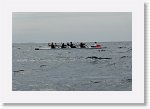 DSC03207_S * 5472 x 3648 * (4.34MB)