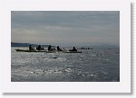 DSC03211_S * 5472 x 3648 * (4.89MB)