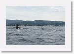 DSC03215_S * 5472 x 3648 * (4.33MB)