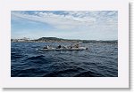 DSC03226_S * 5769 x 3648 * (5.28MB)