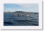 DSC03227_S * 5584 x 3648 * (5.45MB)