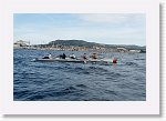 DSC03228_S * 5472 x 3648 * (5.22MB)