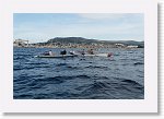 DSC03229_S * 5472 x 3648 * (5.04MB)