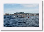 DSC03230_S * 5472 x 3648 * (4.97MB)