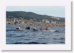 DSC03232_S * 5473 x 3648 * (5.27MB)