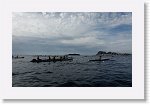 DSC03304_S * 5769 x 3648 * (4.89MB)