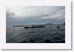 DSC03306_S * 5769 x 3648 * (4.82MB)