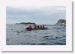 DSC03312_S * 5472 x 3648 * (4.2MB)