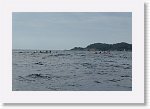 DSC03341_S * 5473 x 3648 * (4.55MB)