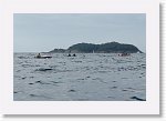 DSC03344_S * 5473 x 3648 * (3.83MB)