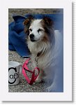 DSC03373_S * 3648 x 5472 * (4.96MB)