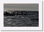 IMGP2343_S * 6024 x 4000 * (26.23MB)
