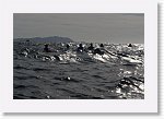 IMGP2750_S * 6056 x 4000 * (28.41MB)