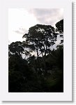 IMGP8612R * 3104 x 4672 * (3.89MB)