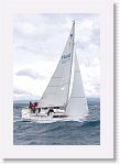 IMG10084R * 3104 x 4672 * (2.36MB)