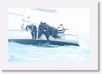 IMG10300R * 4672 x 3104 * (2.8MB)