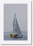 IMGP3158R * 3104 x 4672 * (1.79MB)