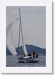 IMGP3292R * 3104 x 4672 * (2.39MB)